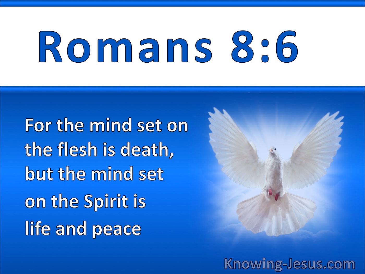 Romans 8:6 The Mind Set On The Spirit Is Life And Peace (white)